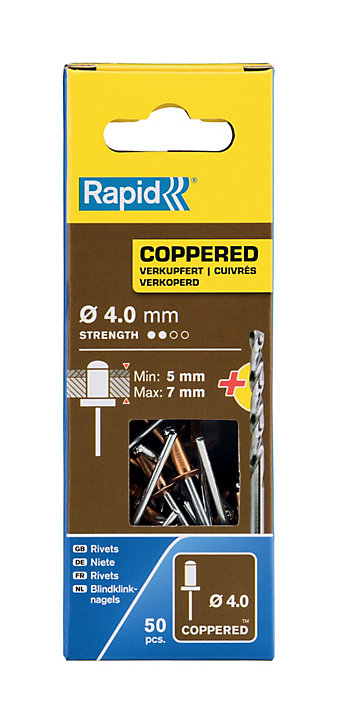 Rivet cuivre ø4.0 x 10 mm + foret Rapid, lot de 50