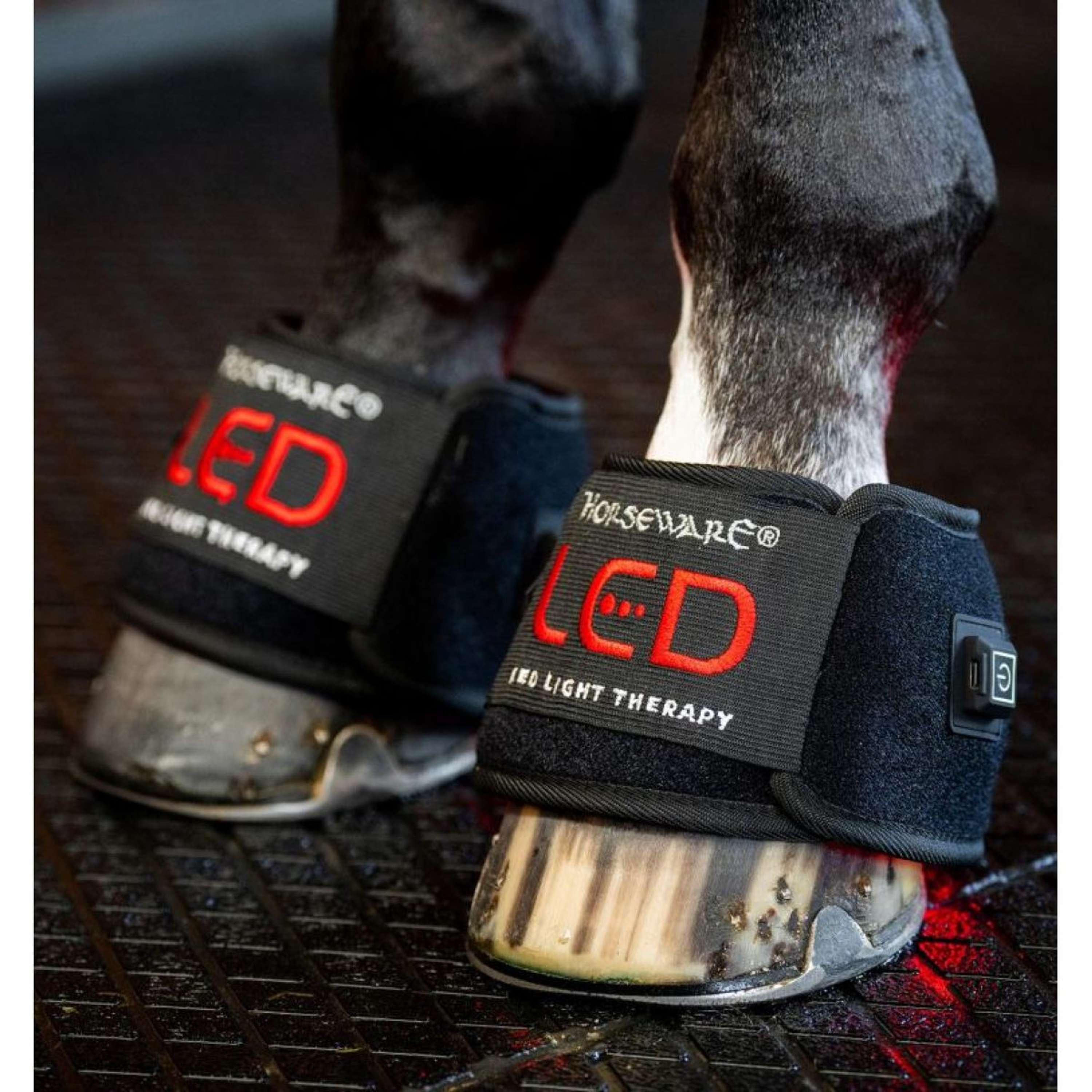 Horseware LED Red Light Therapy Mini Wrap Zwart