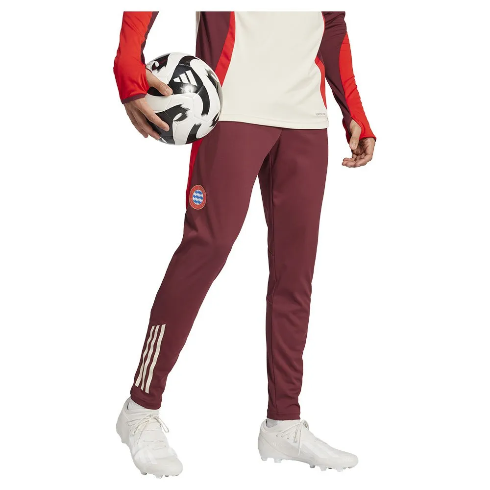 adidas FC Bayern Munich 24/25 Trainingshose