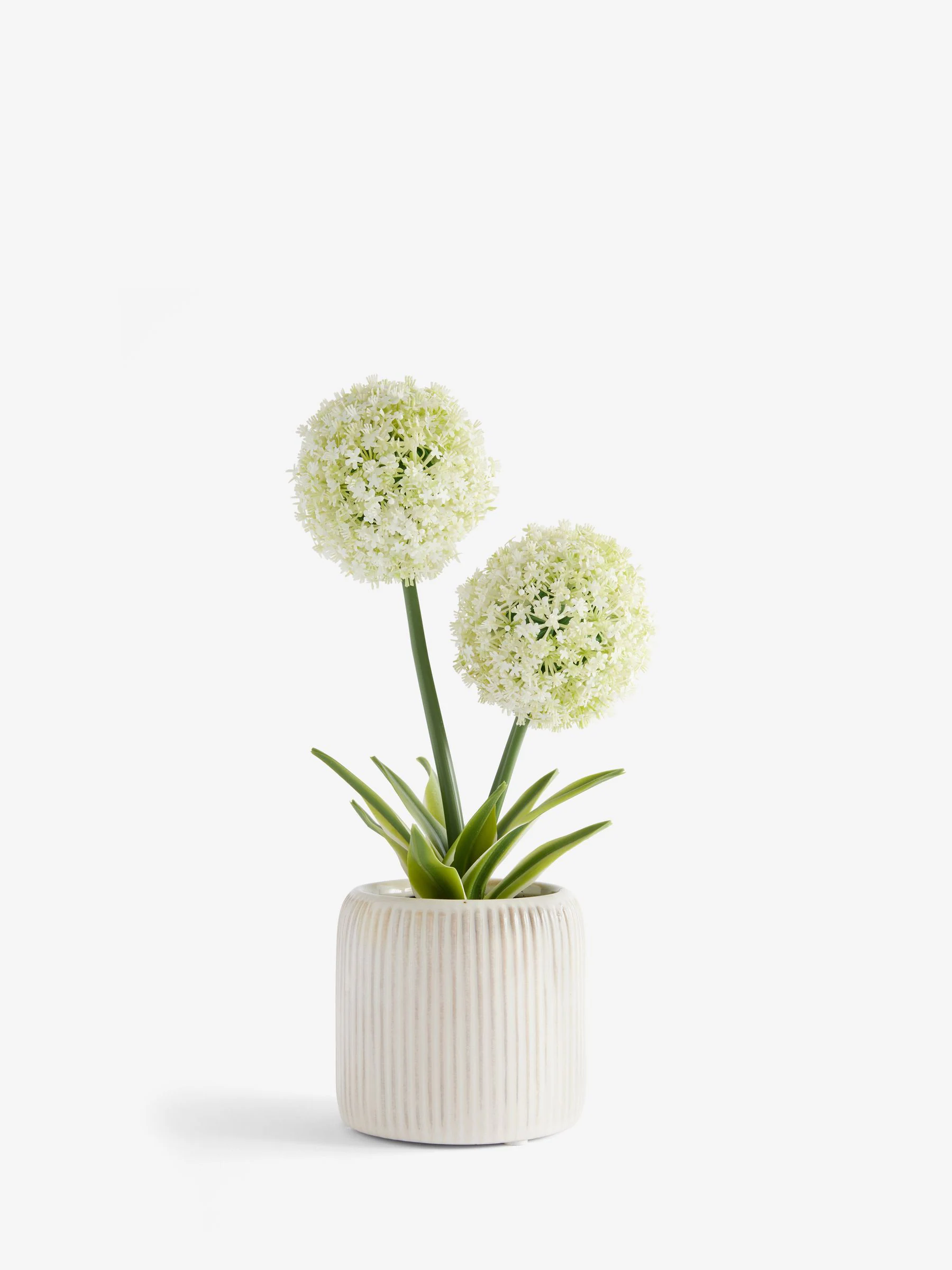 Artificial Allium Plant In Ribbed Ceramic Pot