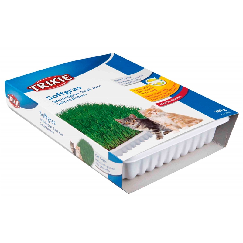 Catmint com Bandeja 100g