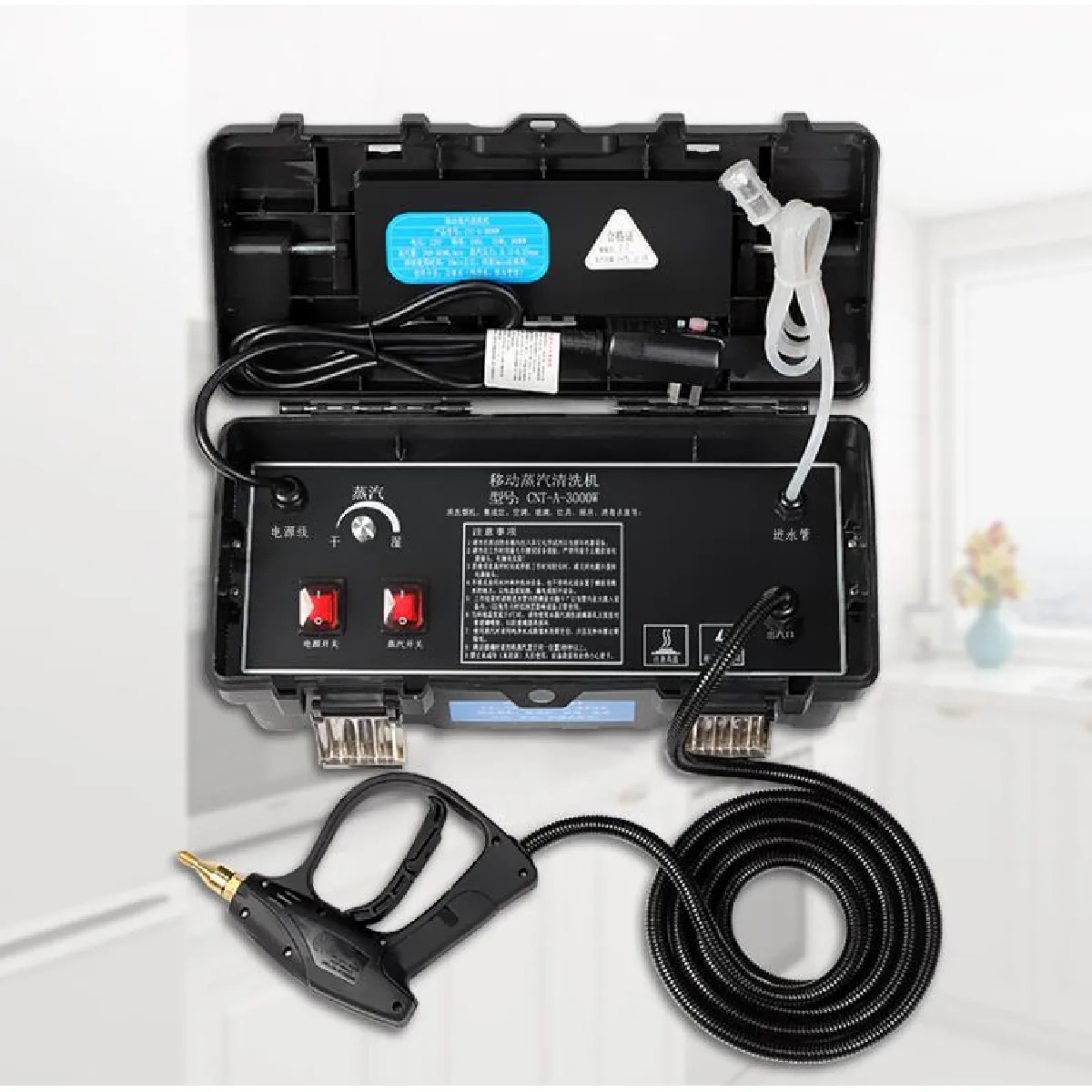 Universal Nettoyeur vapeur 110V 220V