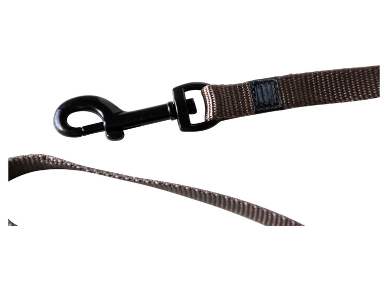 Halsband met lijn