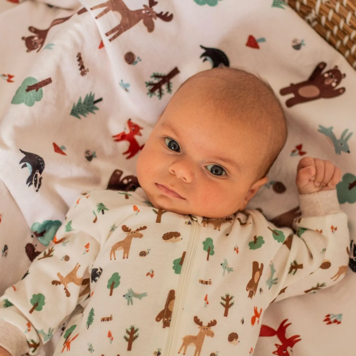 Bébé Confort Pyjama Imprimé Forêt 0-30mois