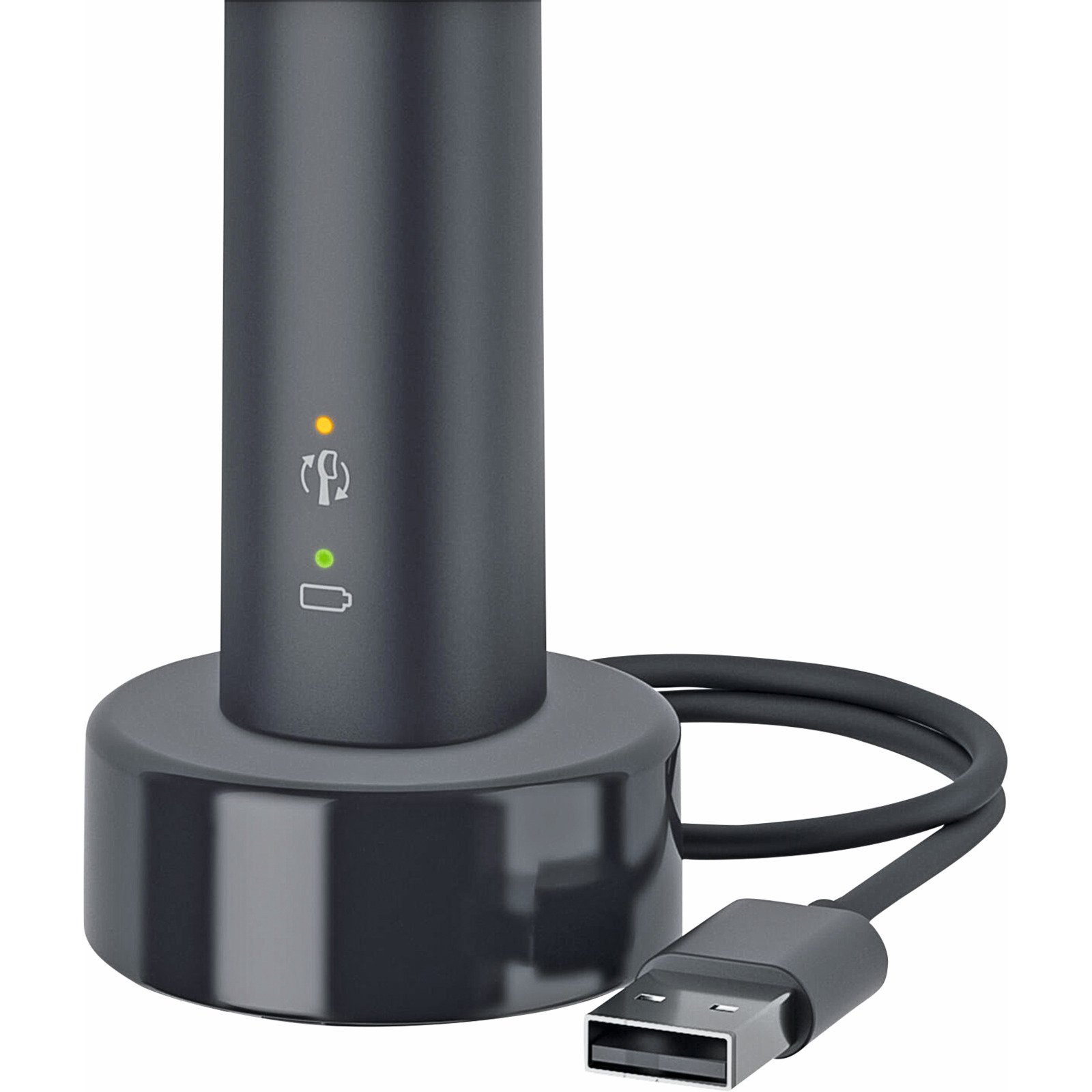 Philips Elektrische Zahnbürste Sonicare 3100 schwarz