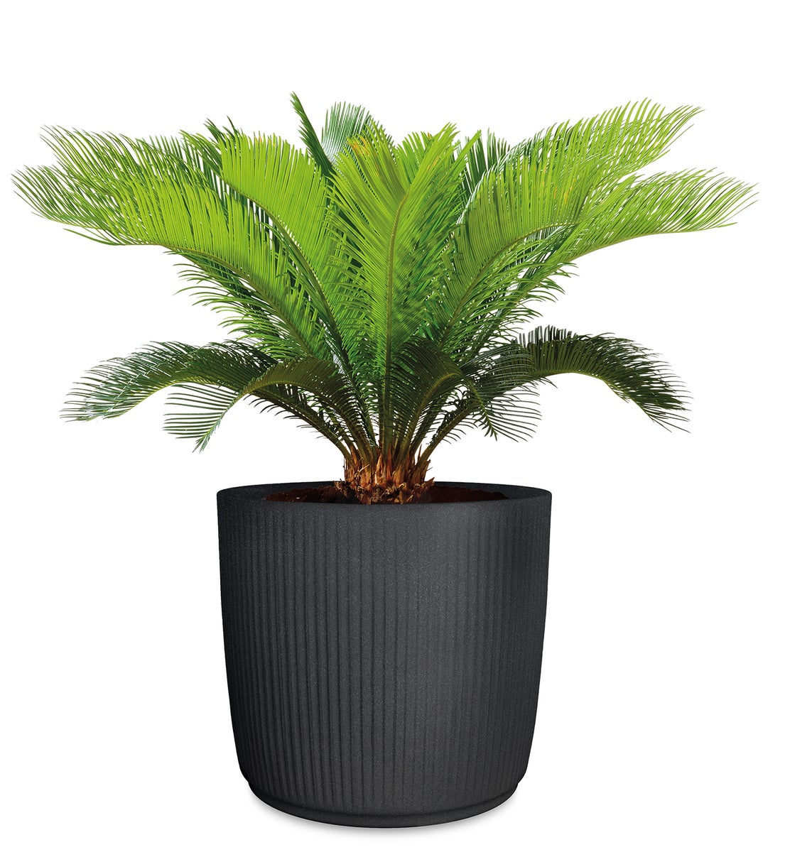 Scheurich Linetto 40, plantenbak/bloempot, rond, van kunststof, kleur: Stony Black, diameter 38,6 cm, hoogte 35,3 cm, inhoud 35 l.