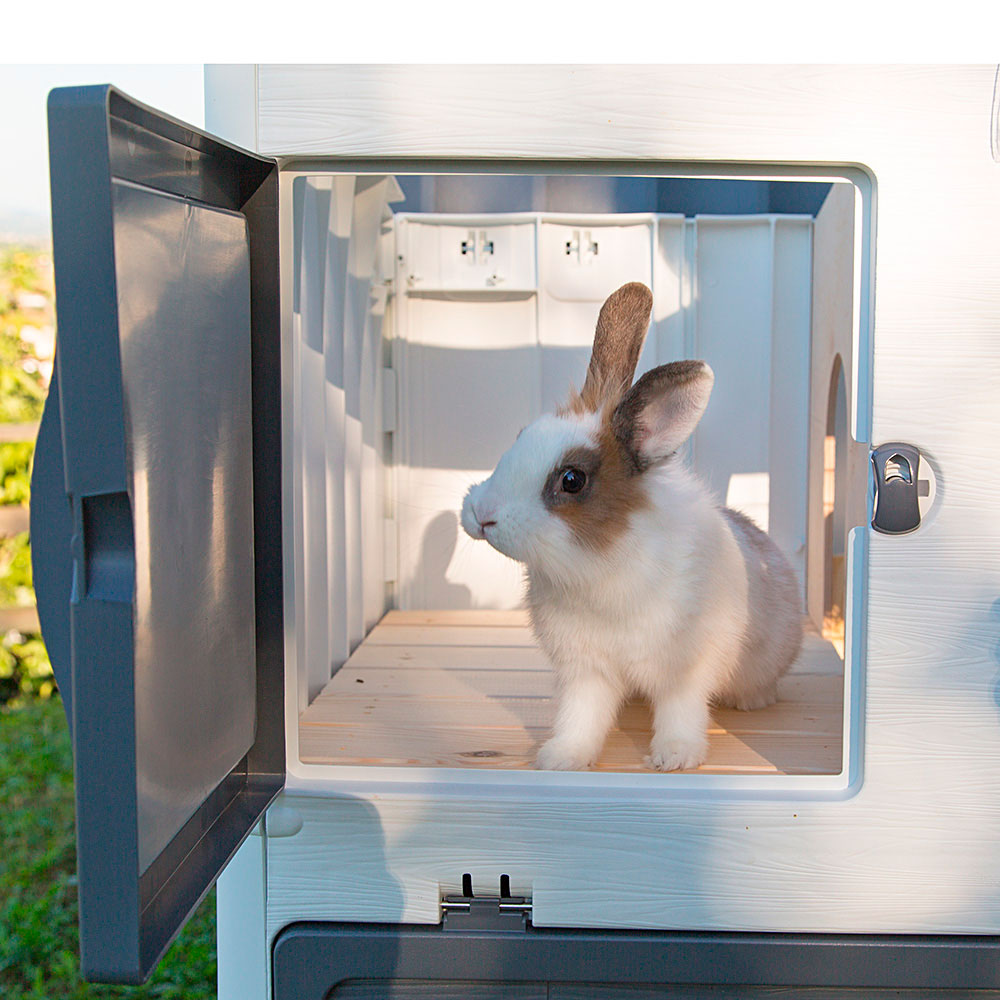 Ferplast cage lapin grand lodge 140 plus, clapier extérieur 2 étages, lapins, cochons d'inde, enclos pour lapins animaux