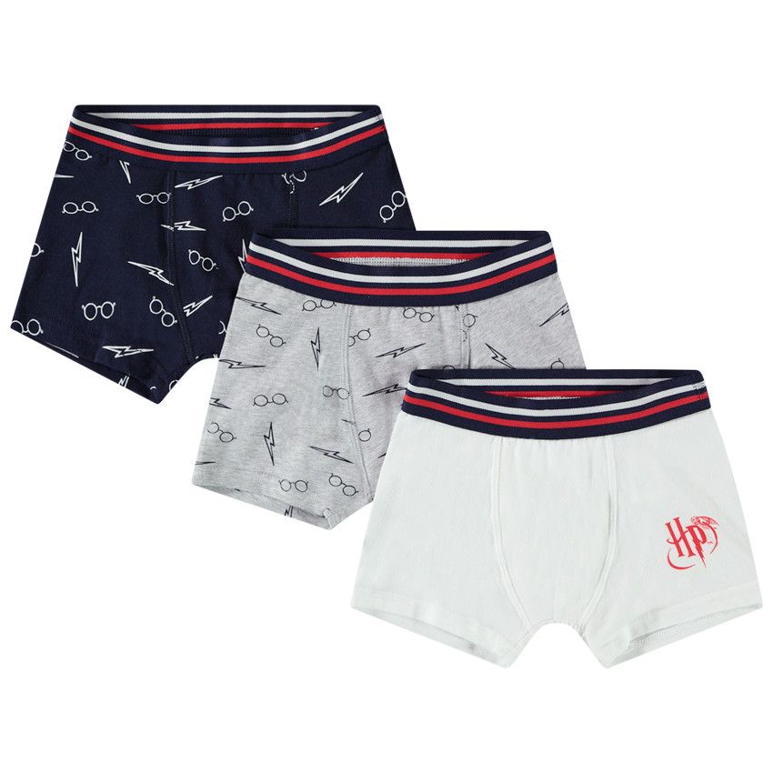 Lot de 3 boxers univers Harry Potter Warner pour garçon - Ecru