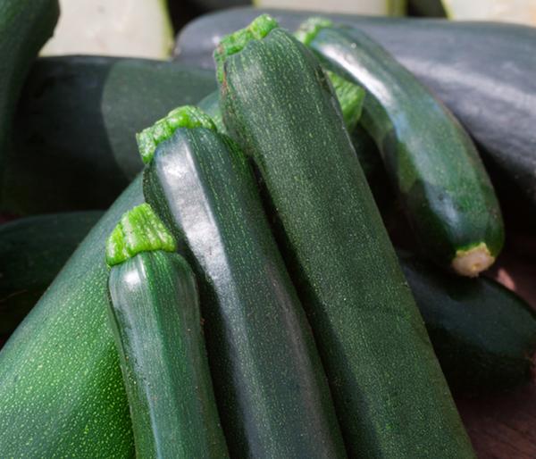 Bioland Zucchini