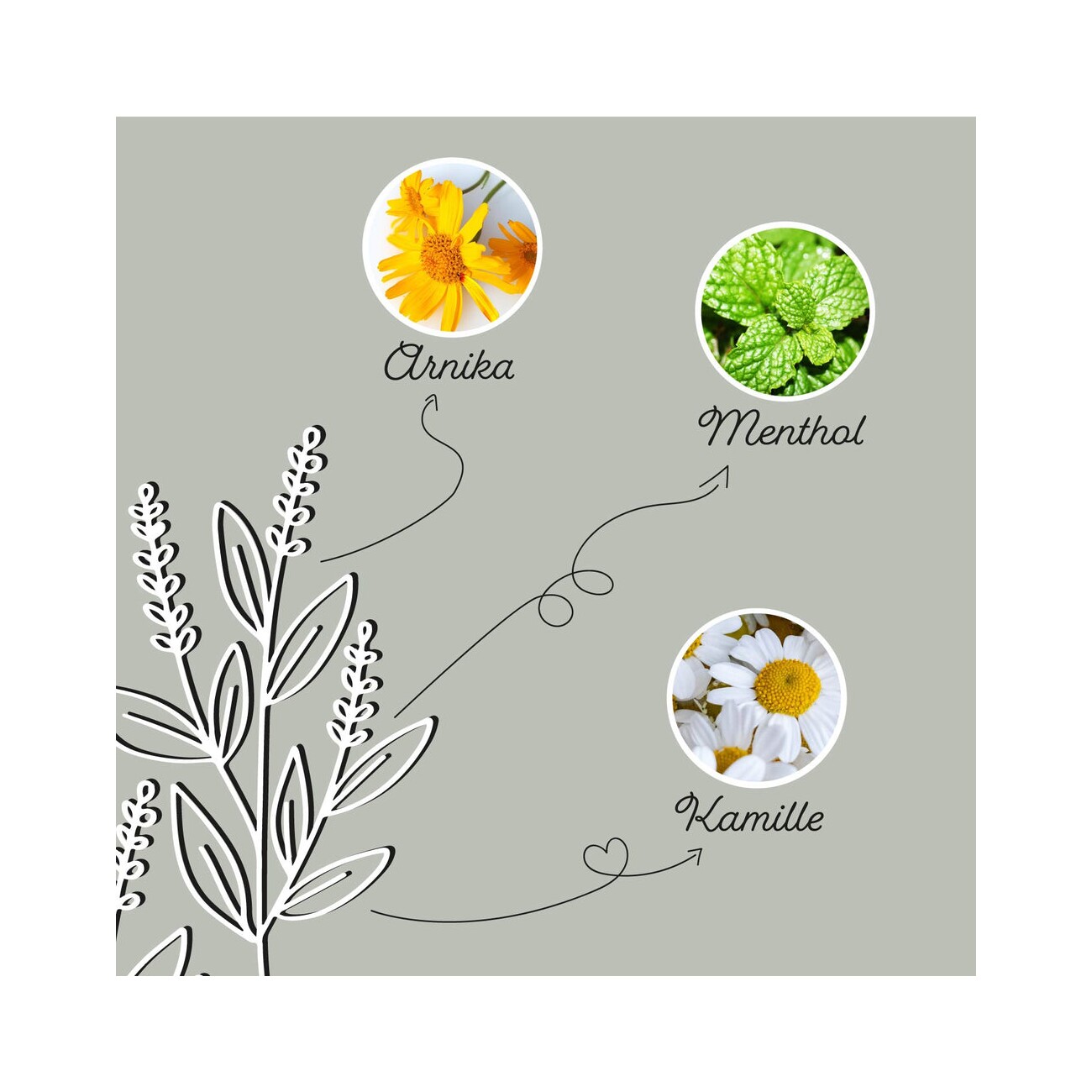 Annimally Tonerde Paste 2 l