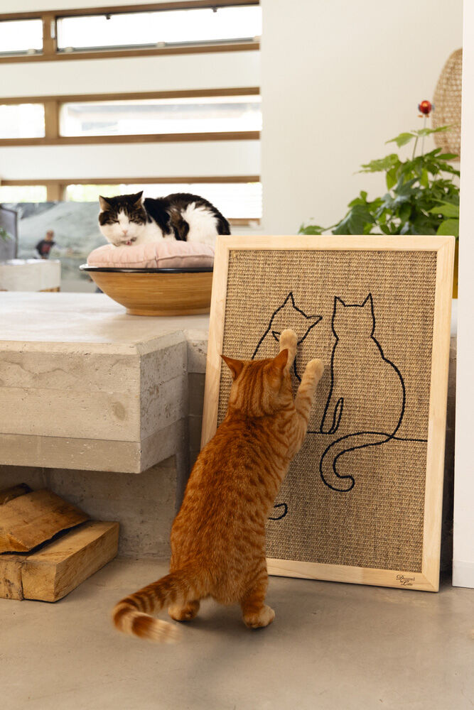 Designed by Lotte Poezels - Krabplank - Naturel - 72x70x2.8 cm