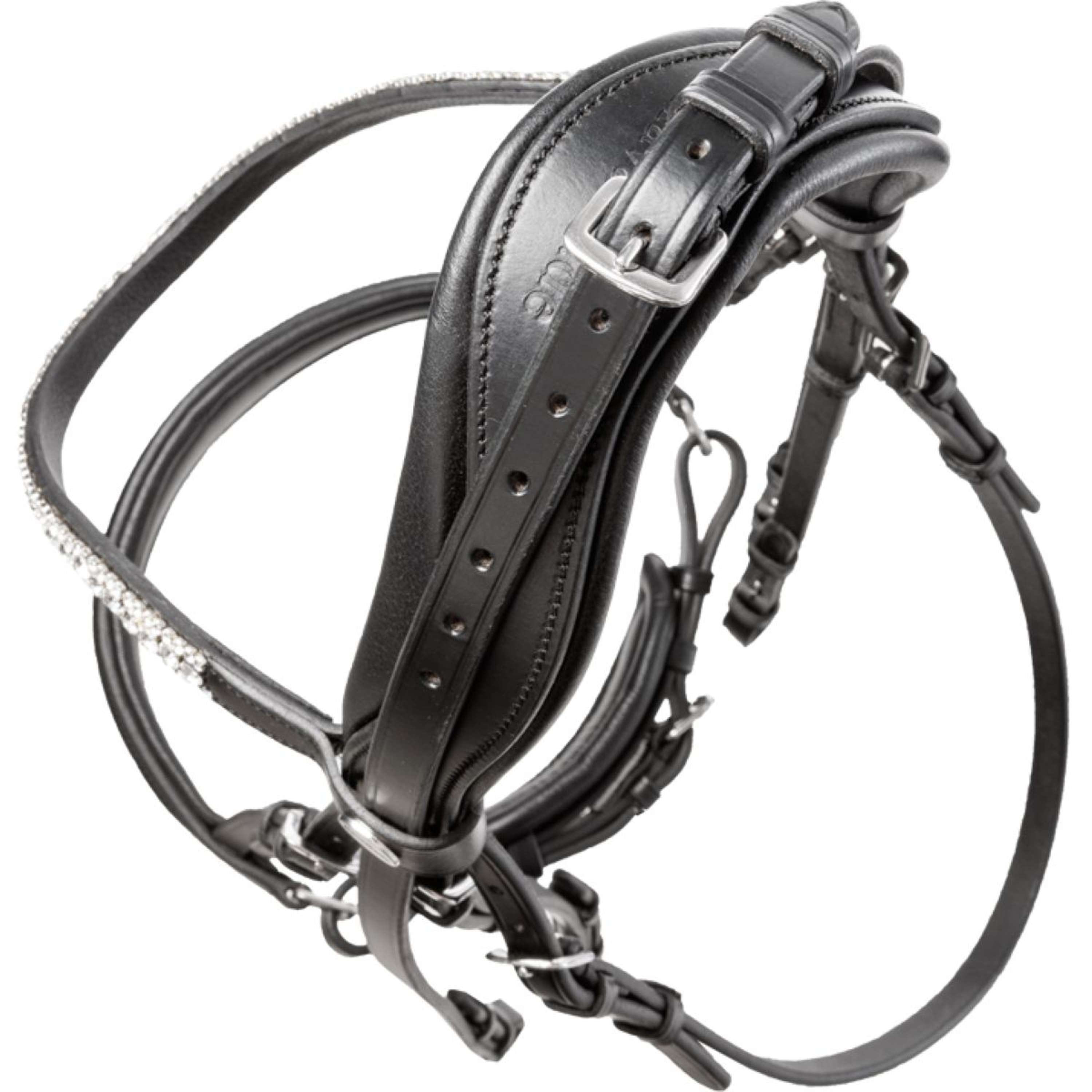 Kavalkade Stang en Trenshoofdstel Sonya Zwart