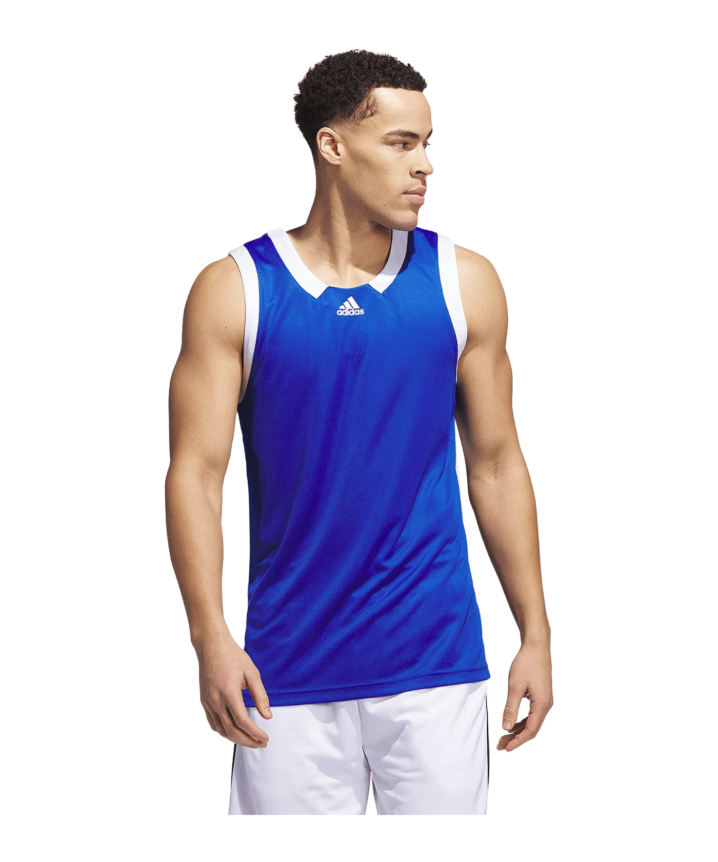 adidas Iconic Squad Trikot Blau