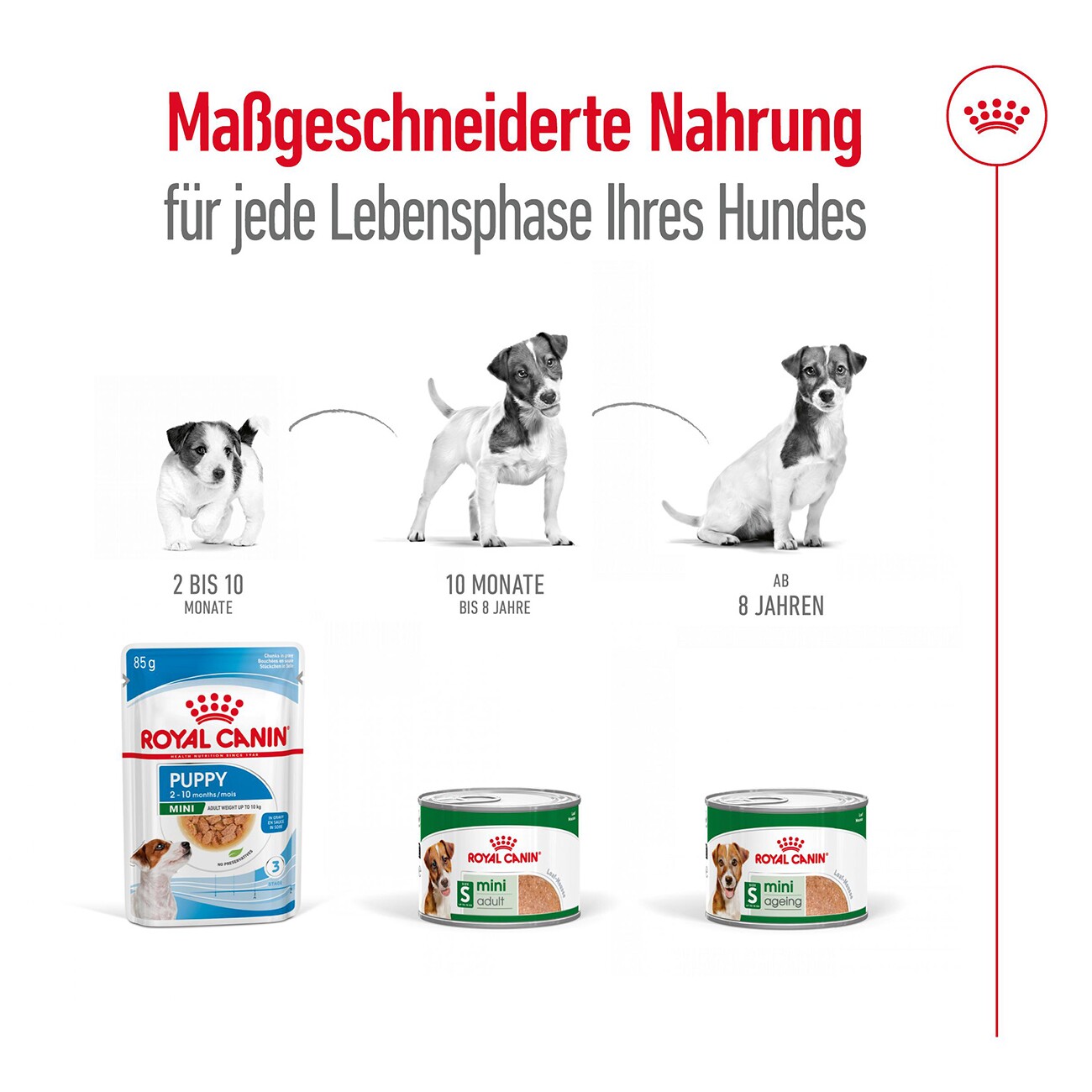 ROYAL CANIN Mini Ageing Mousse 12x195 g