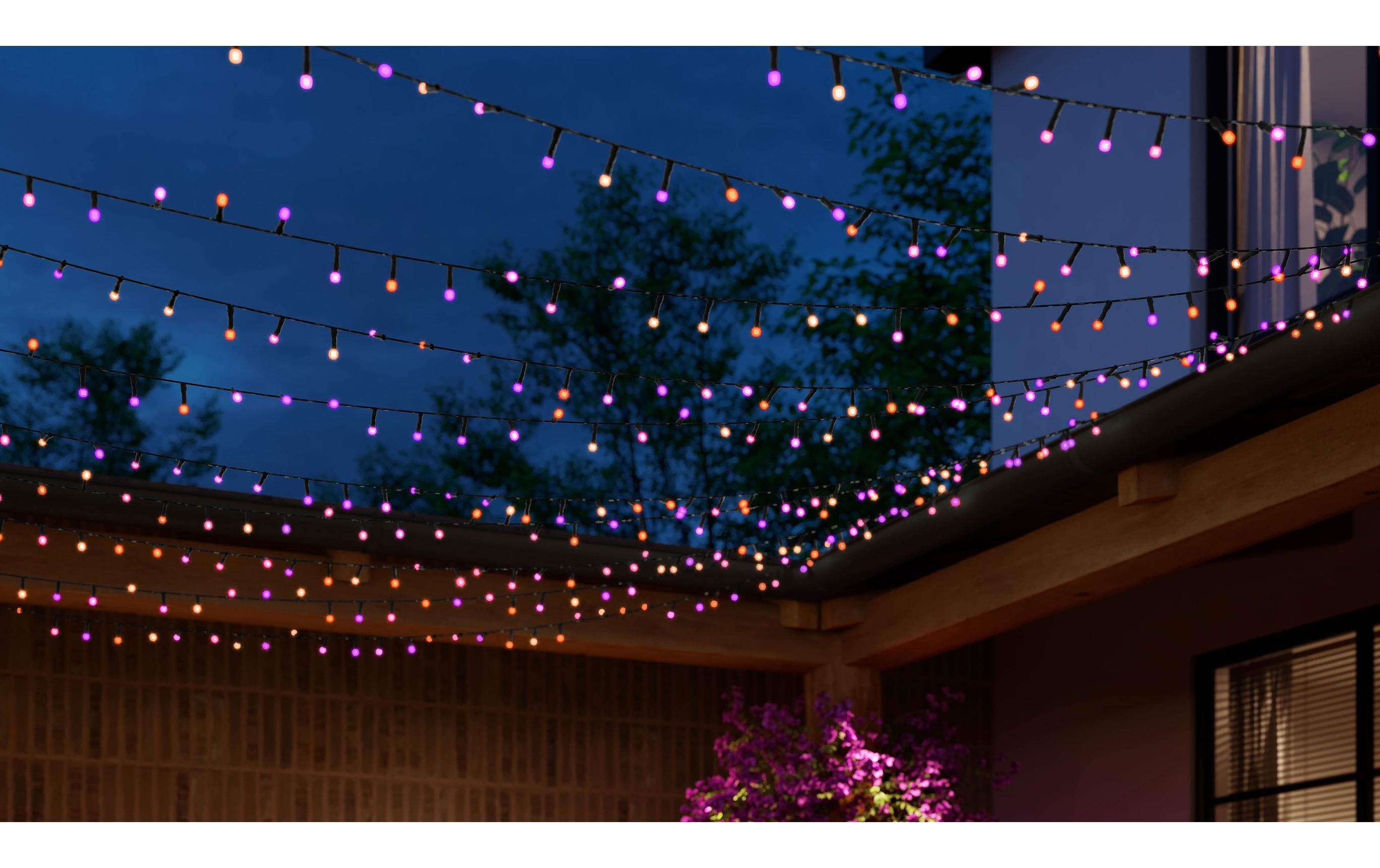 Festavia Lichterkette 40 m 500 LEDs CH<br>Smarte Weihnachtsbeleuchtung für den Innen- und Aussenbereich