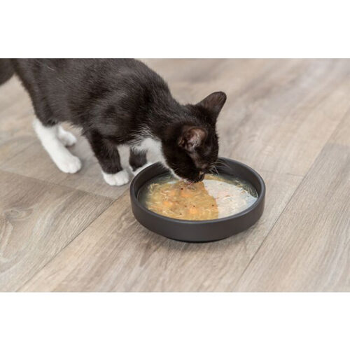 Trixie Kittis Soup