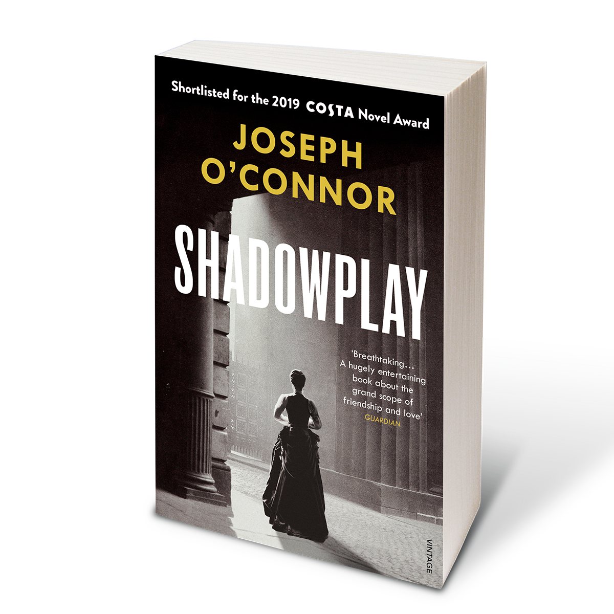 Shadowplay (Paperback)