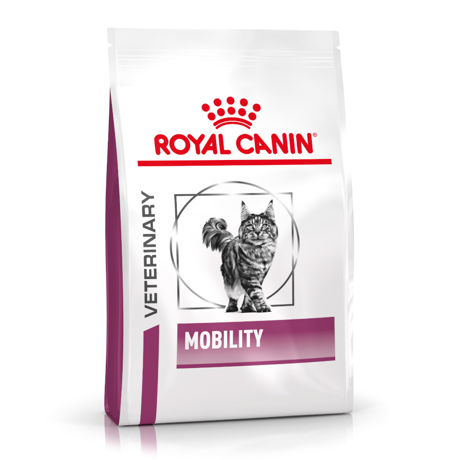Ração Royal Canin Veterinary Mobility para gatos