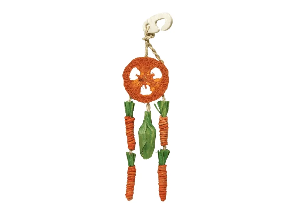 Rosewood Carrot Dream Catcher