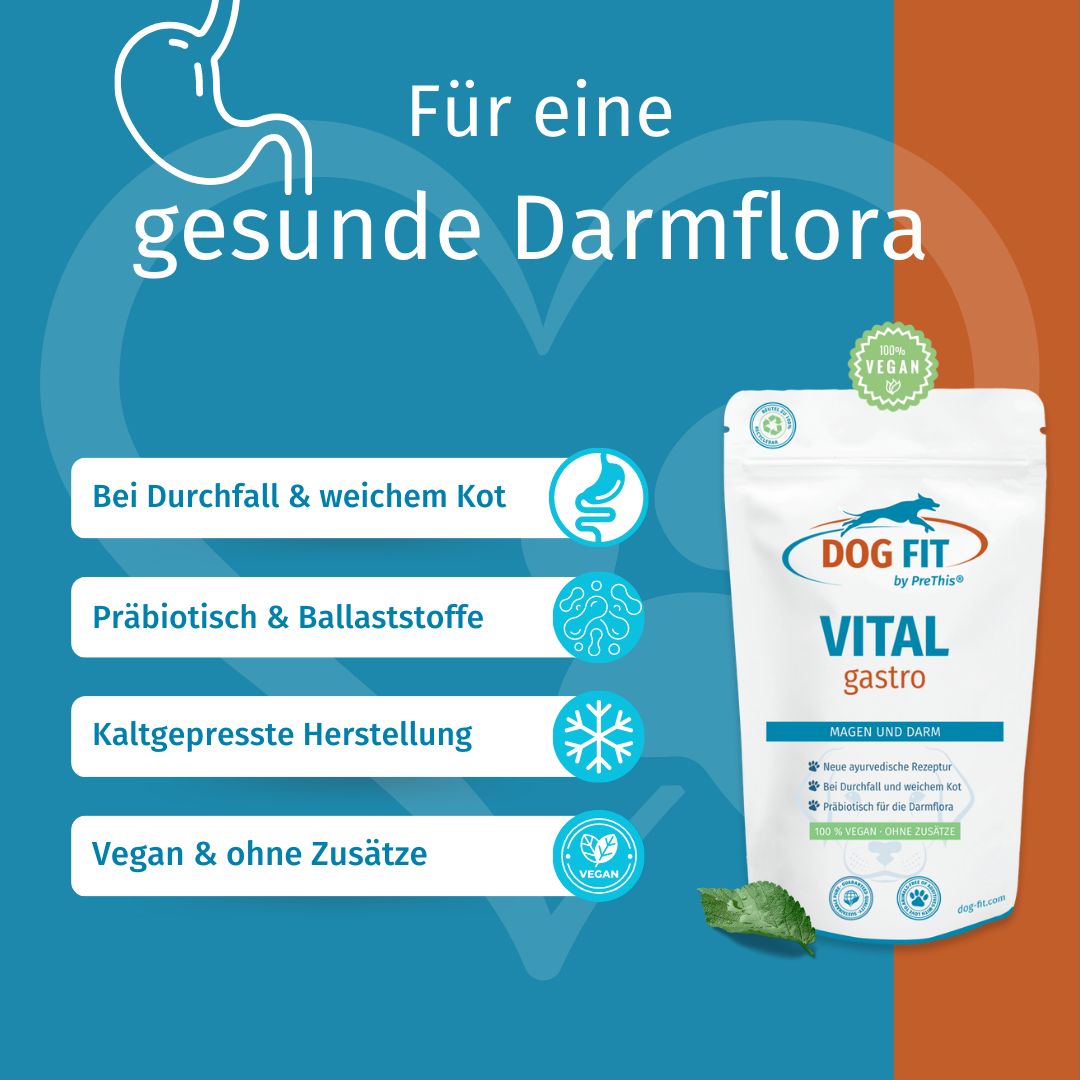 DOG FIT by PreThis® VITAL gastro » Bei Verdauungsproblemen, Durchfall und weichem Kot
