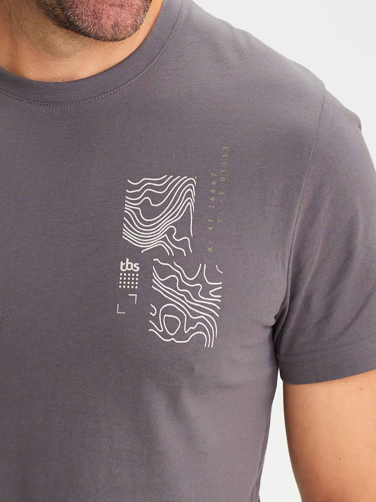 Tee Shirt Homme Coton Biologique Gris