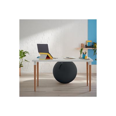 Leitz Ergo Cosy Active - Ballon d'assise - diamètre de 65 cm - gris velours