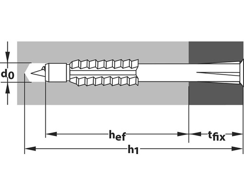 Tox Constructor universele lange deuvel Ø 10/100 mm en schroef, 25 stuks