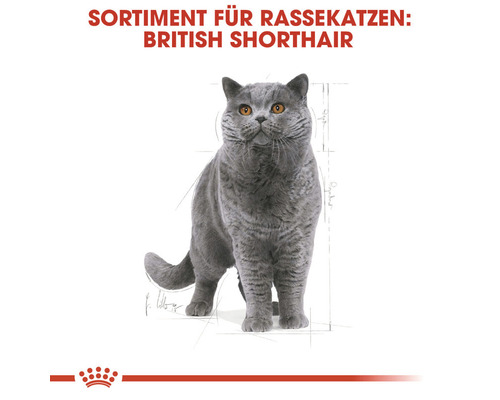 Droog kattenvoer, ROYAL CANIN British Shorthair 34, 10 kg