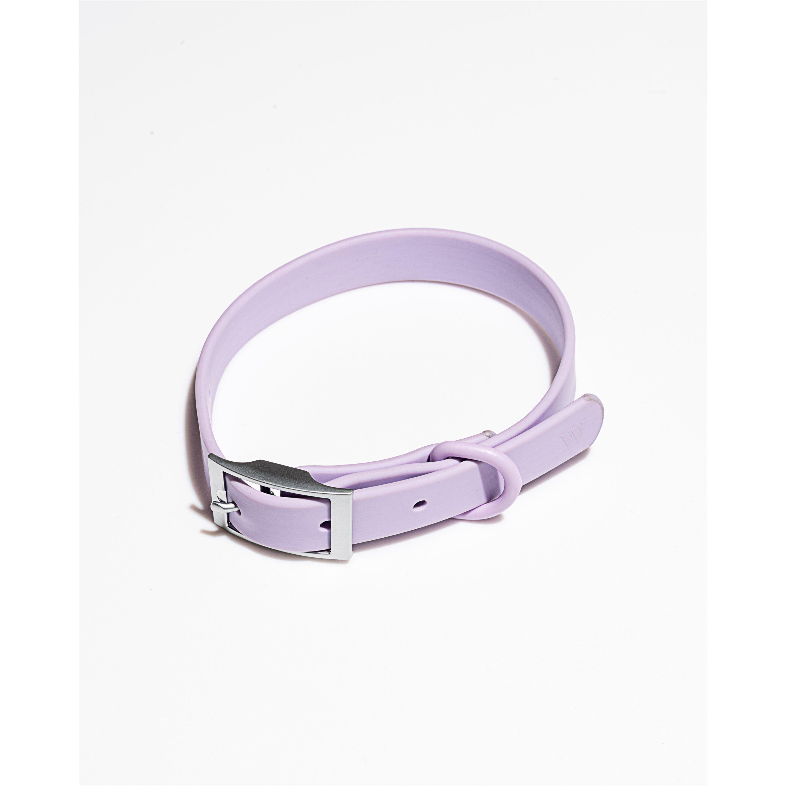 Wild One WO Dog Collar