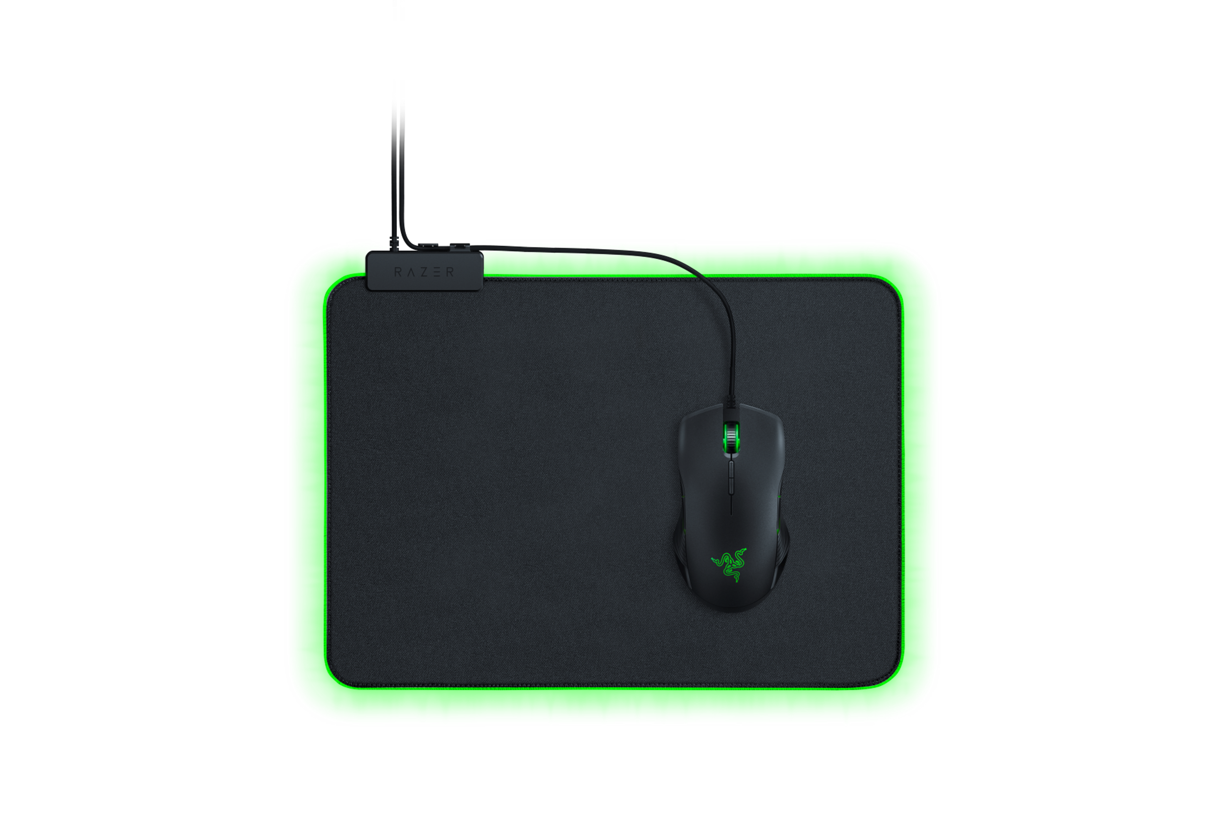 Goliathus Chroma