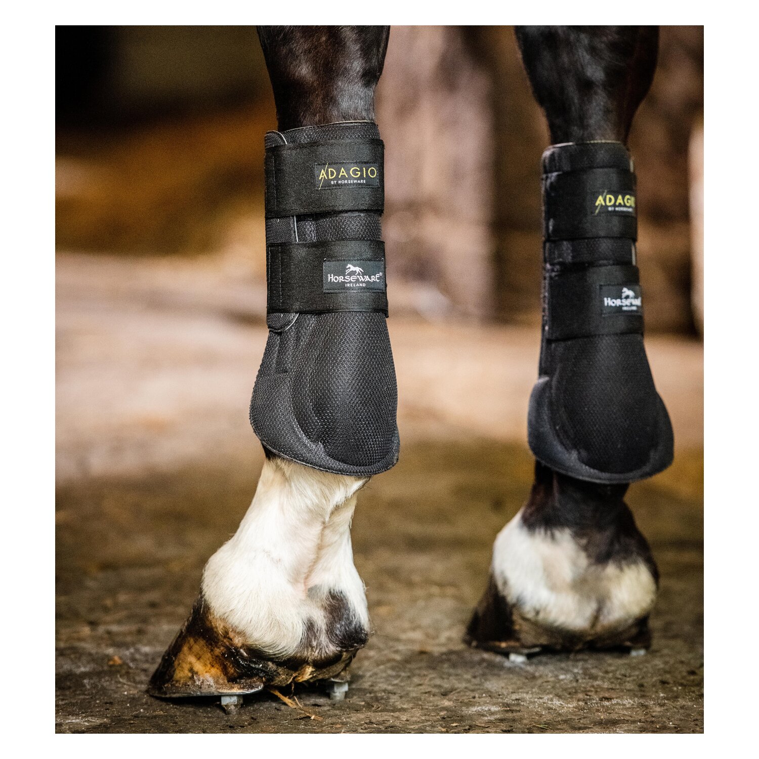 HORSEWARE Gamaschen Adagio Boots  - black