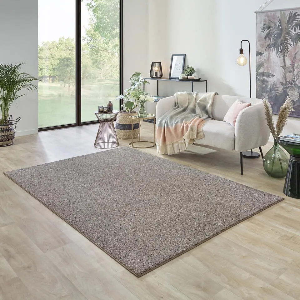 Carpet Studio Ohio Vloerkleed - Beige - 160x230cm