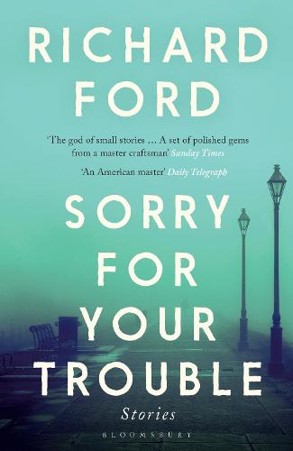 Sorry For Your Trouble (Paperback)