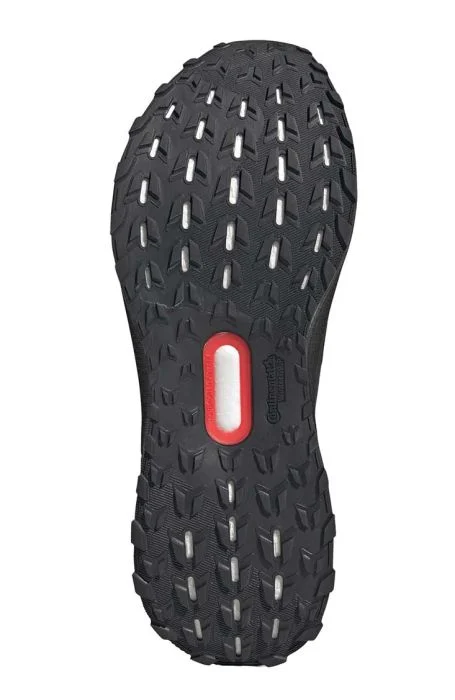 Ultraboost 5 GTX Men