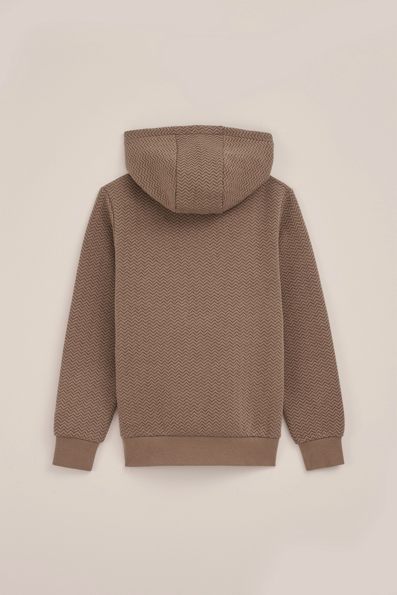 Jongens hoodie met dessin Blue Ridge Lichtbruin