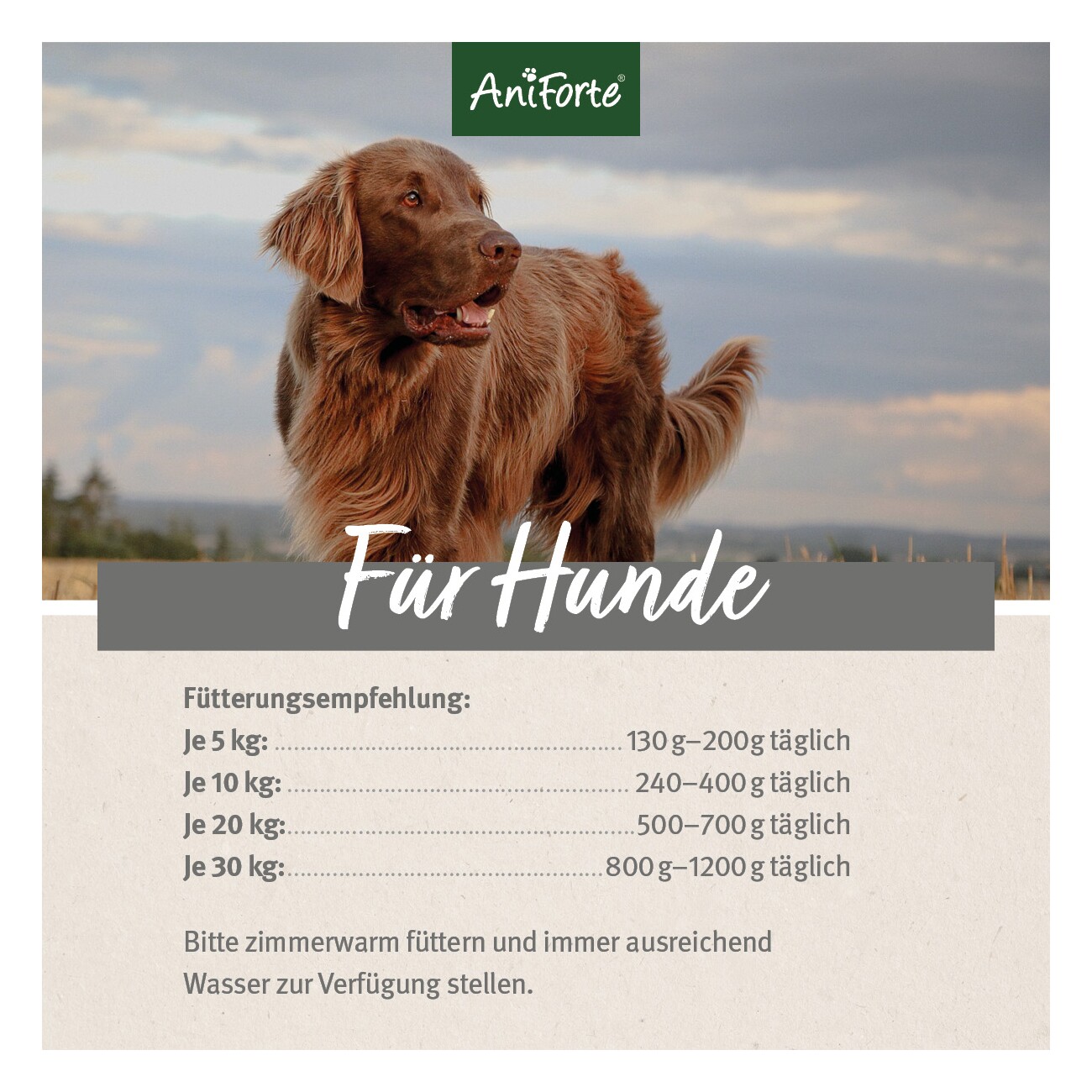 AniForte Nassfutter WildForest Wild mit Zucchini 6x400 g