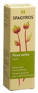 SPAGYROS GEMMO Ficus carica Glyzerol Mazerat D1, 30 ml