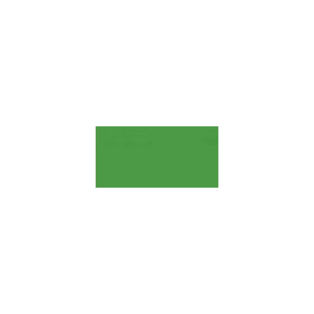 Light Green (942)