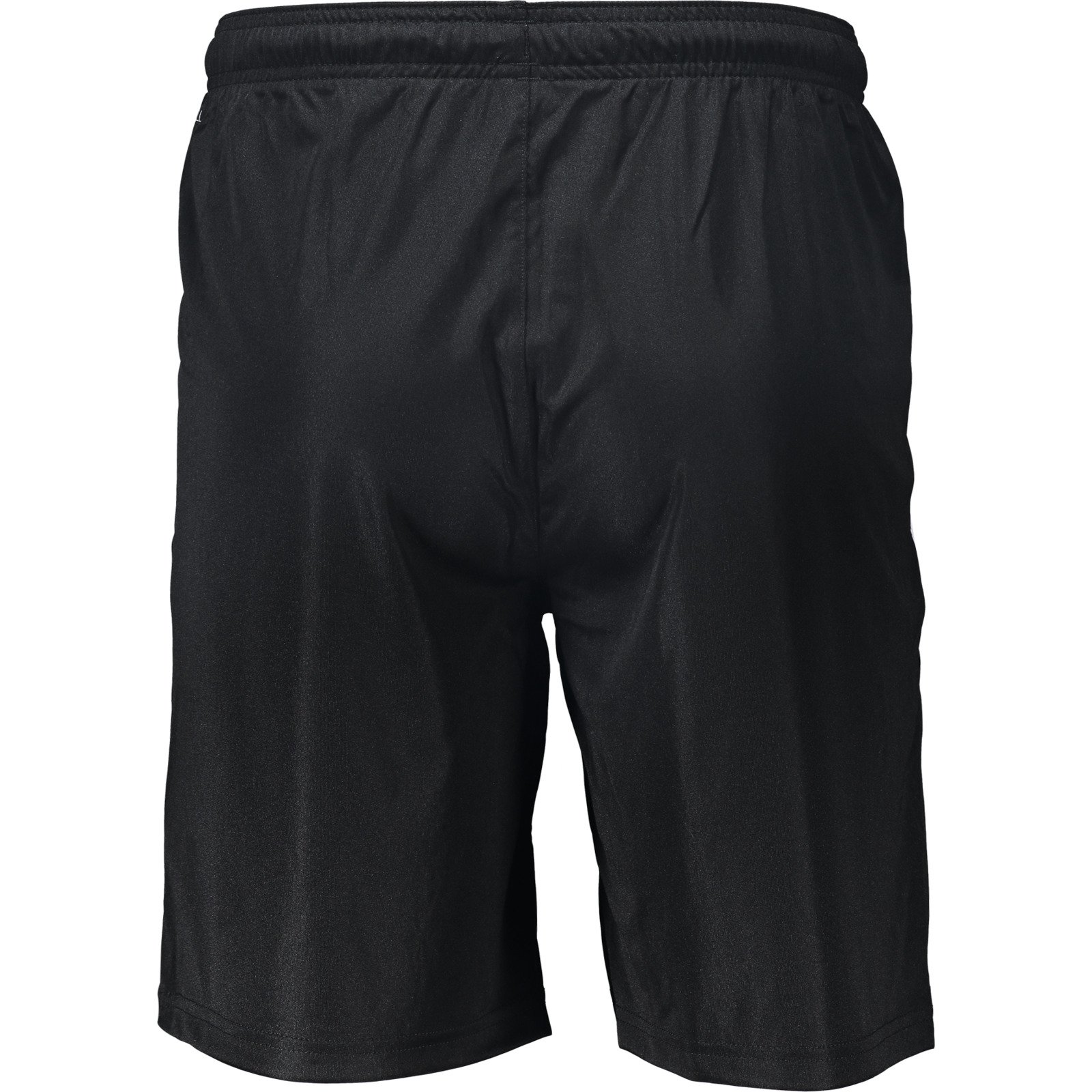 Puma Herren-Shorts team Liga L, schwarz