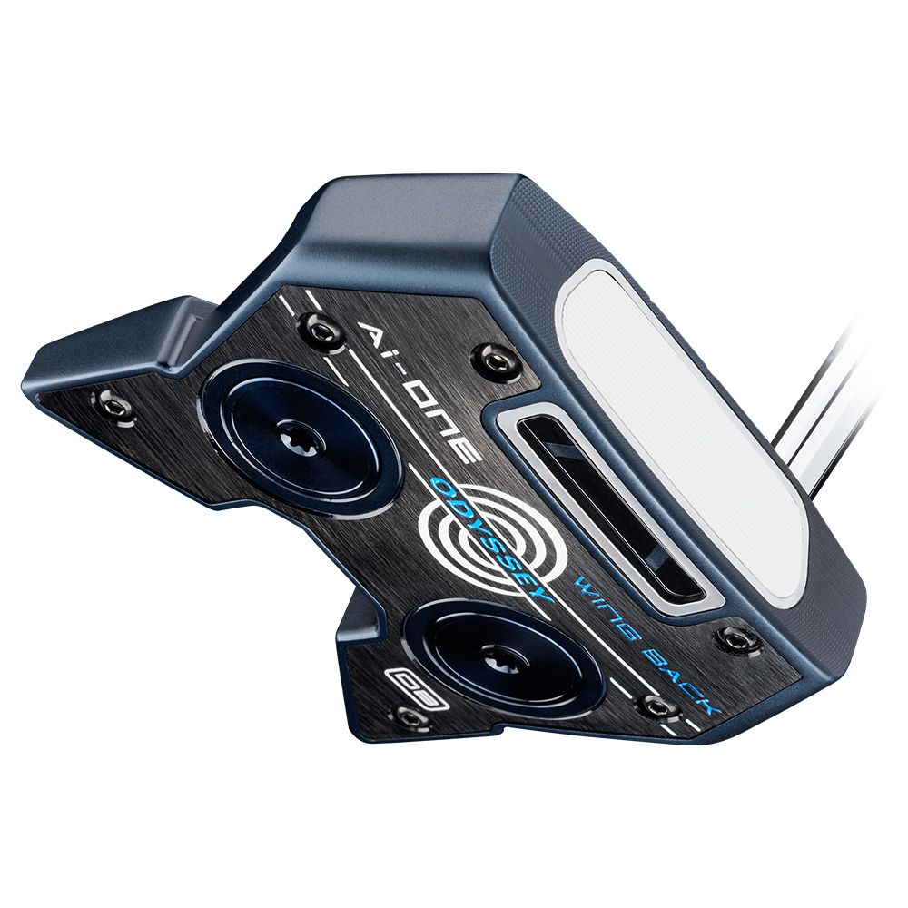 Ai-ONE Wing Back DB Putter