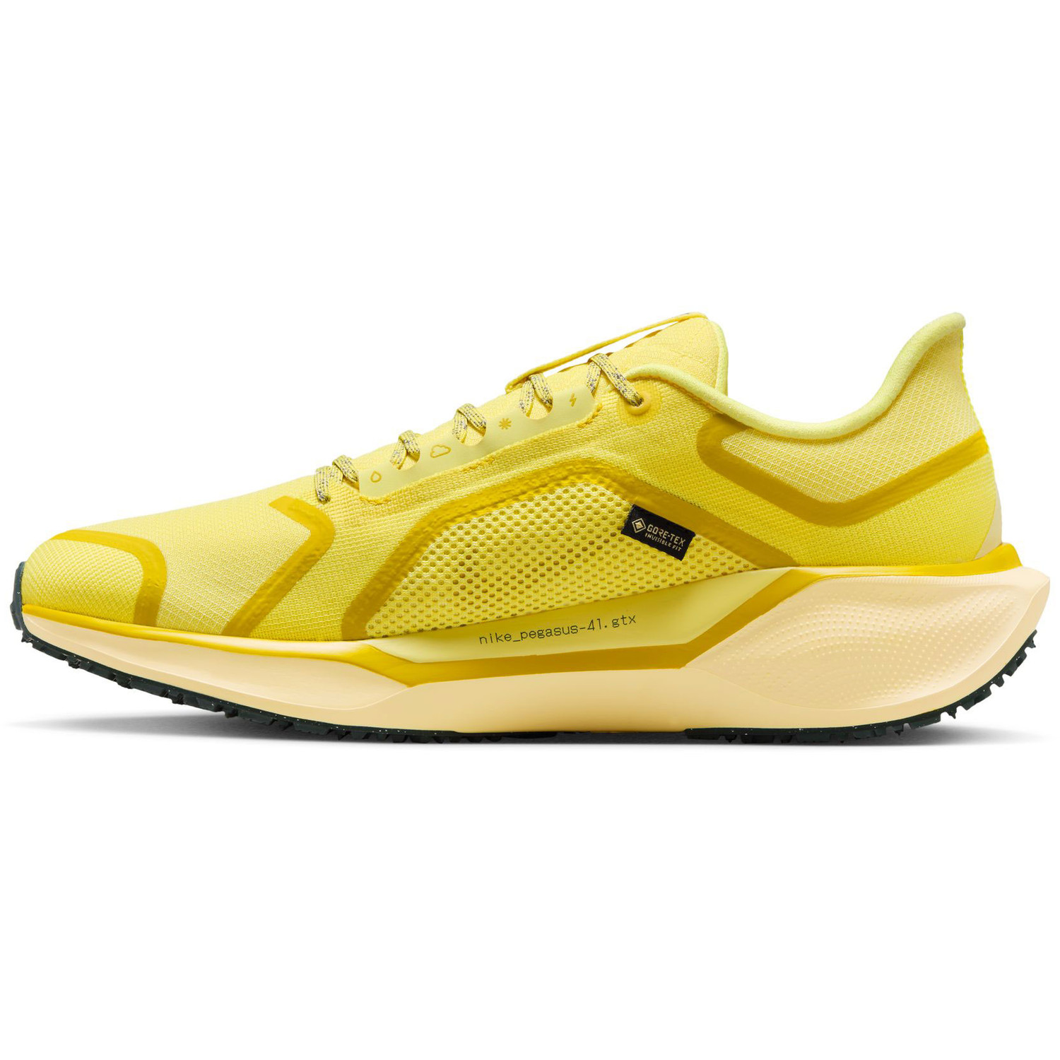 Nike Pegasus 41 GTX Heren
