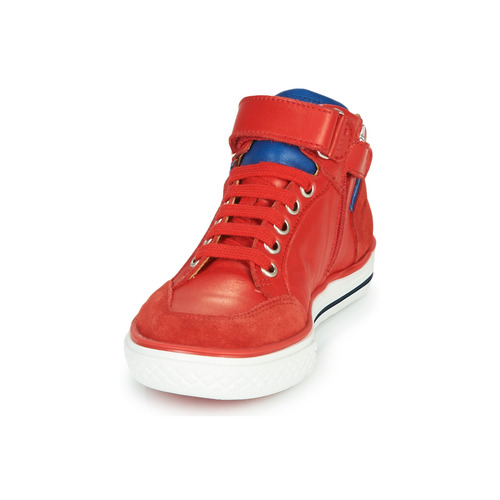 GBB - ALIMO - Rouge