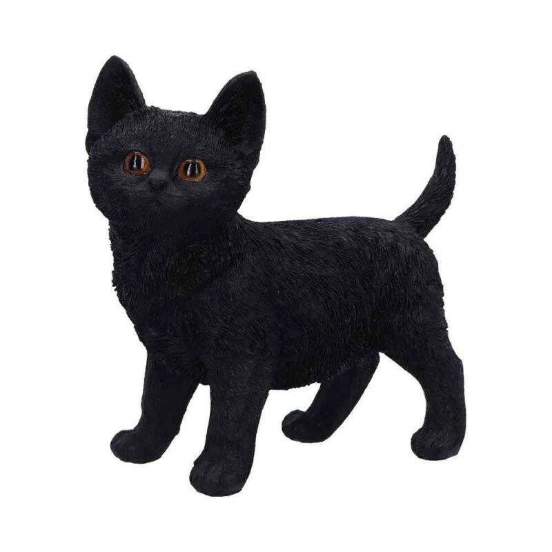 Charmed Companion | Nemesis Now Articles De Décoration