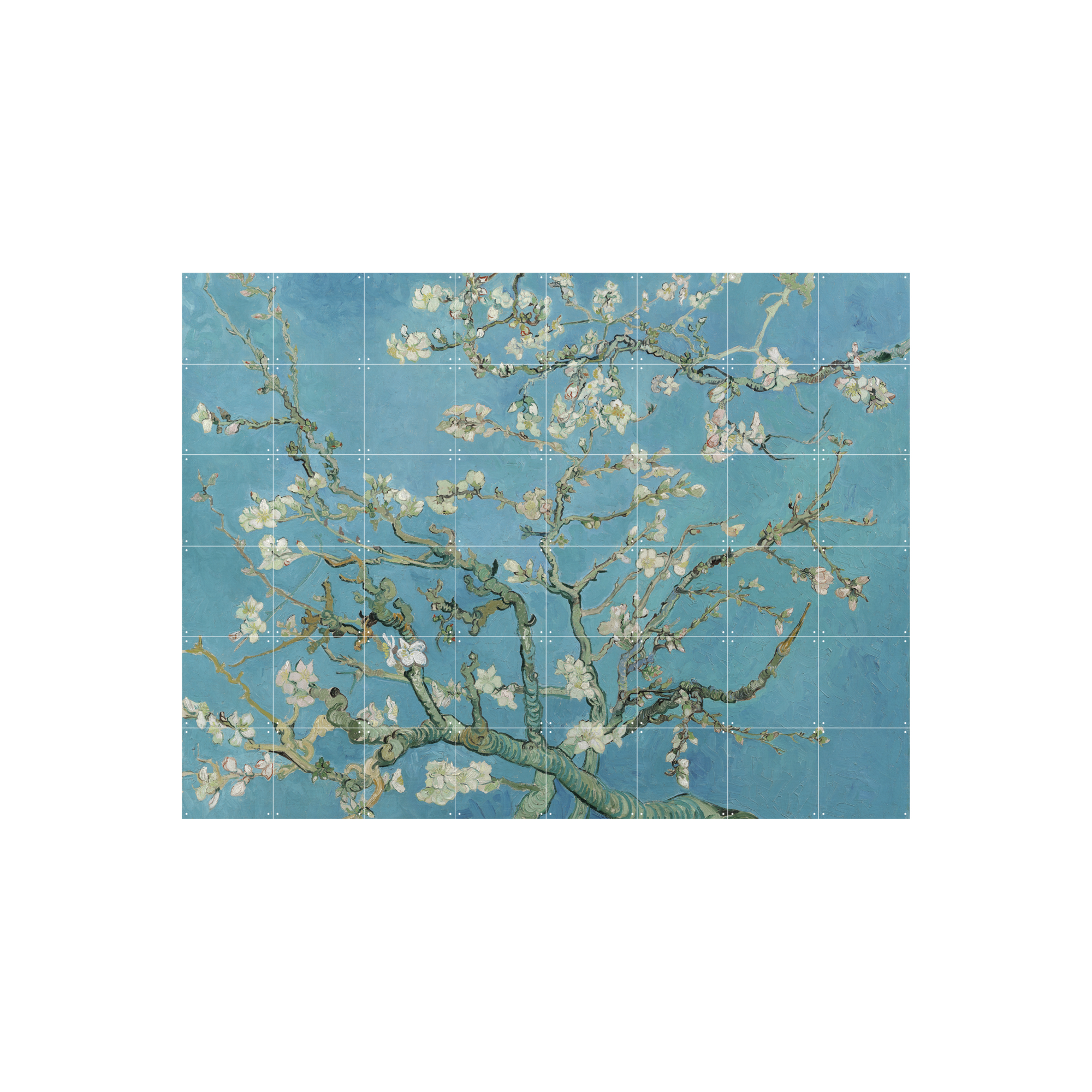 IXXI Almond Blossom 100 x 80 cm