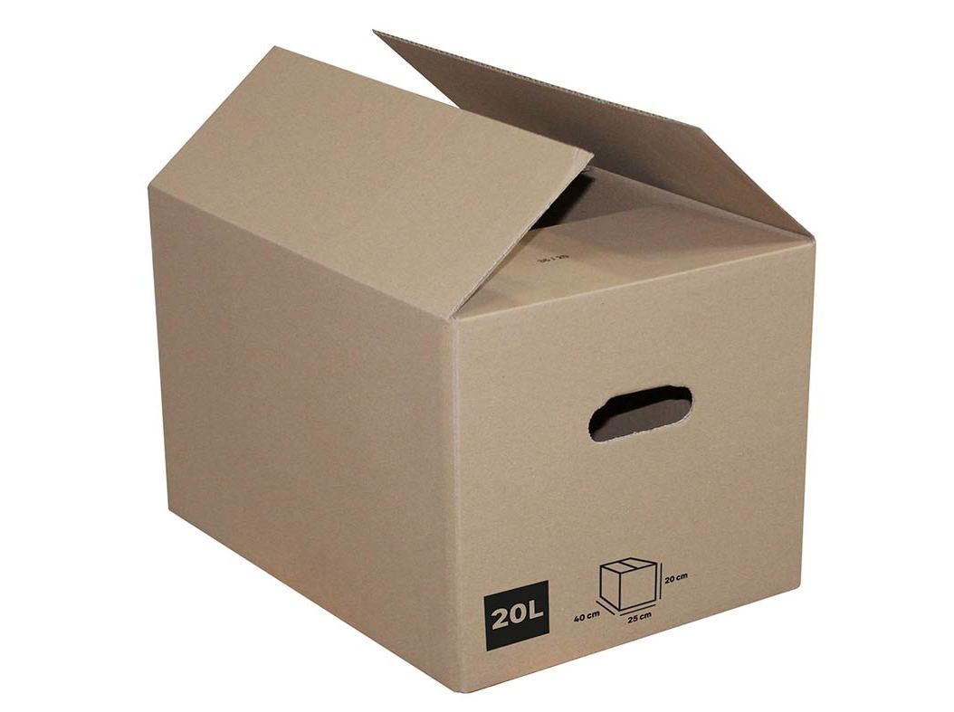 CAIXA CARTÃO PACK&MOVE 40X25X20CM 20L
