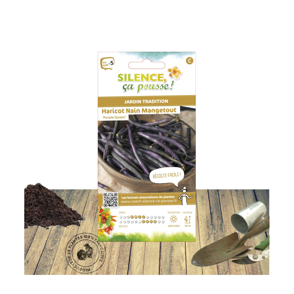 Graines de haricot nain mangetout purple queen/phaseolus vulgaris nain mangetout purple queen[-]sachet de 15 gr.