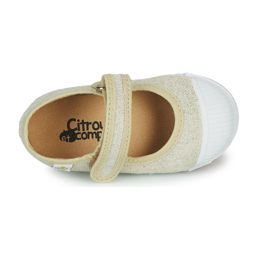 Citrouille et Compagnie - APSUT - Beige