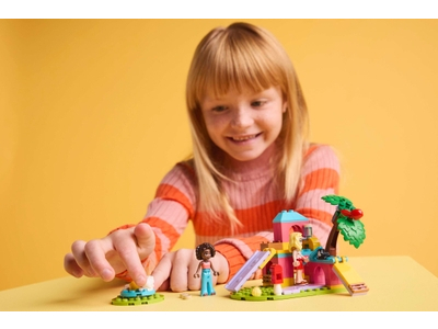 LEGO Caviaspeeltuin (42640)