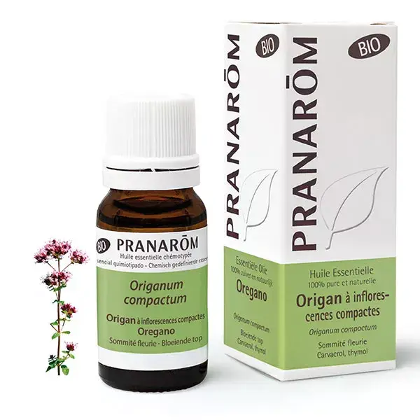 Pranarom Huile Essentielle Bio Origan à Inflorescences Compactes 10ml