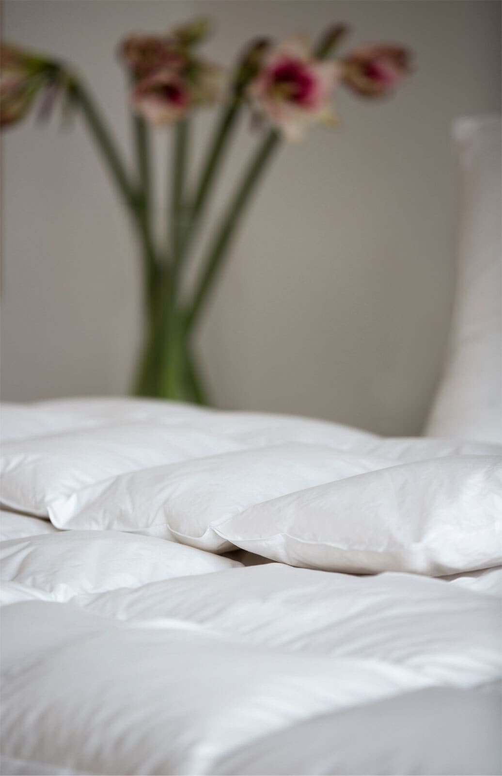 CENTA-STAR Kassettendaunenbett AMBIENTE 240 x 220 cm 1220 g
